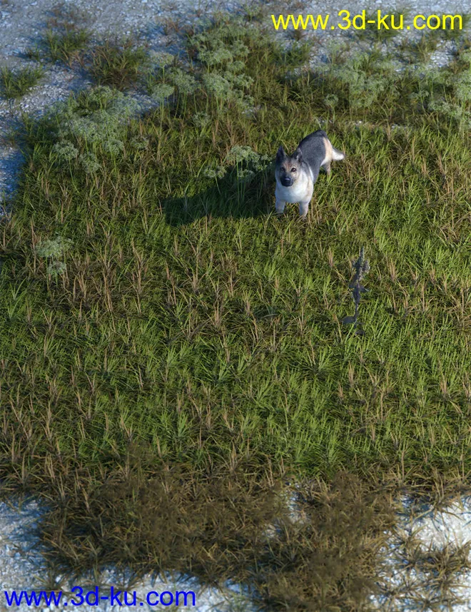 Wasteland Plants and Weeds - Low Resolution Instant Ecosystems模型的图片5