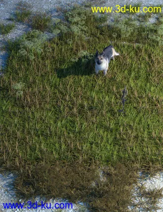 3D打印模型Wasteland Plants and Weeds - Low Resolution Instant Ecosystems的图片