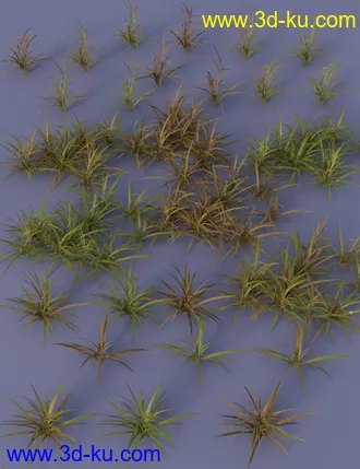 3D打印模型Wasteland Plants and Weeds - Low Resolution Instant Ecosystems的图片