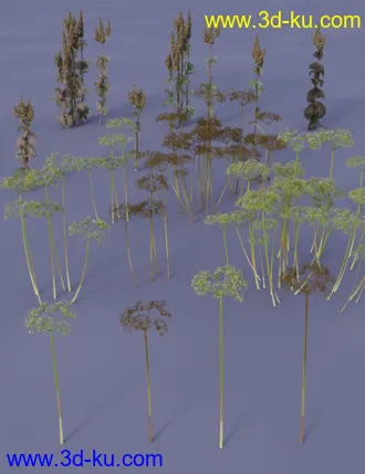3D打印模型Wasteland Plants and Weeds - Low Resolution Instant Ecosystems的图片