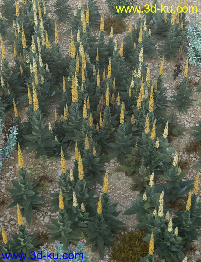 Wasteland Plants and Weeds - Low Resolution Instant Ecosystems模型的图片14