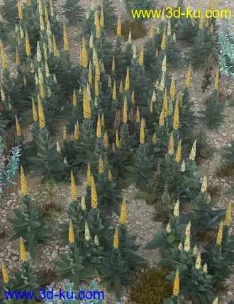 3D打印模型Wasteland Plants and Weeds - Low Resolution Instant Ecosystems的图片