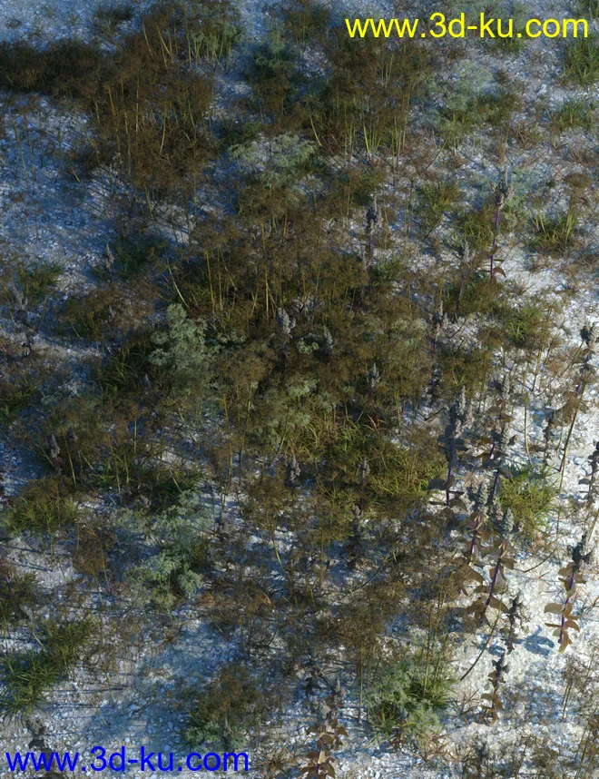 Wasteland Plants and Weeds - Low Resolution Instant Ecosystems模型的图片15