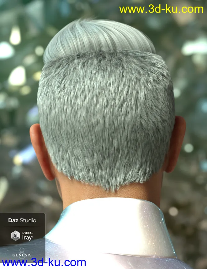 Wave Hair for Genesis 8 and Genesis 3 Male(s)模型的图片6