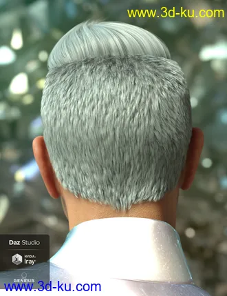 3D打印模型Wave Hair for Genesis 8 and Genesis 3 Male(s)的图片