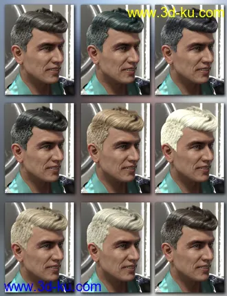 3D打印模型Wave Hair for Genesis 8 and Genesis 3 Male(s)的图片
