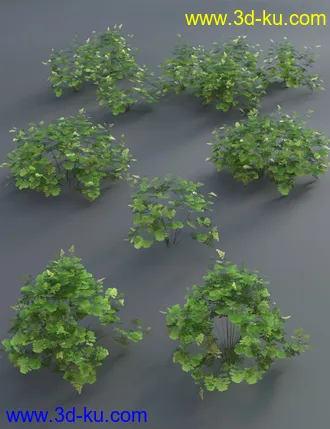 3D打印模型Wild Plants Temperate Ferns Vol 2的图片
