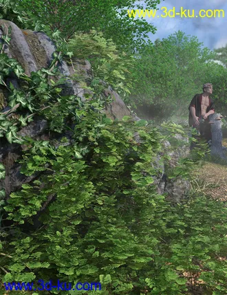 3D打印模型Wild Plants Temperate Ferns Vol 2的图片