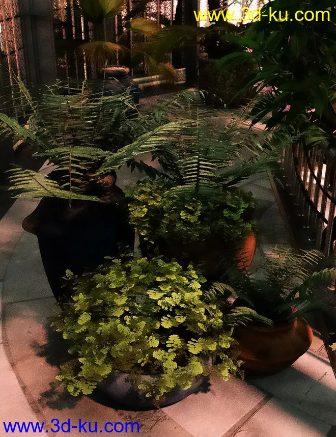 Wild Plants Temperate Ferns Vol 2模型的图片6