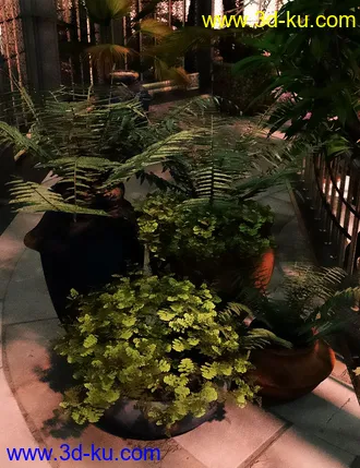 3D打印模型Wild Plants Temperate Ferns Vol 2的图片