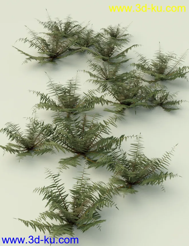 Wild Plants Temperate Ferns Vol 2模型的图片7