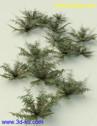 3D打印模型Wild Plants Temperate Ferns Vol 2的图片