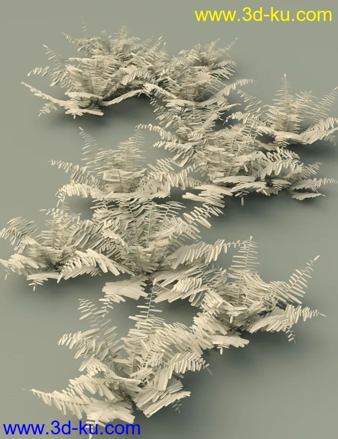 Wild Plants Temperate Ferns Vol 2模型的图片8