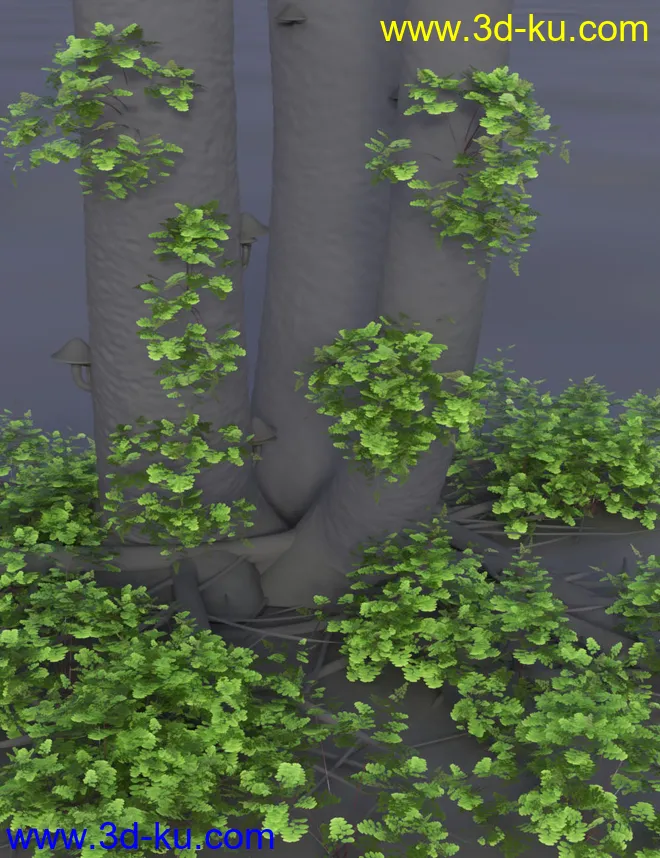 Wild Plants Temperate Ferns Vol 2模型的图片9