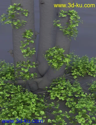 3D打印模型Wild Plants Temperate Ferns Vol 2的图片