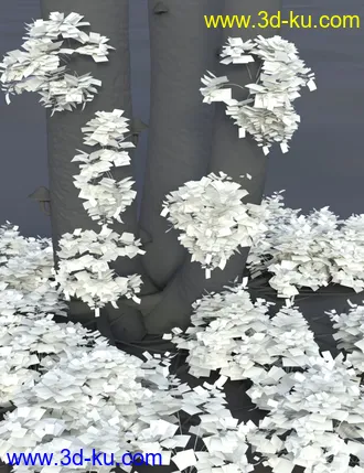 3D打印模型Wild Plants Temperate Ferns Vol 2的图片