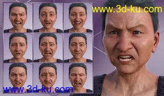 3D打印模型Wisdom - Expressions for Genesis 8 Female and Mrs Chow 8的图片
