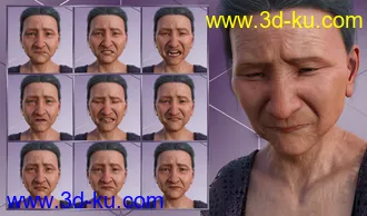 3D打印模型Wisdom - Expressions for Genesis 8 Female and Mrs Chow 8的图片