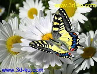 3D打印模型Wonders of Nature的图片