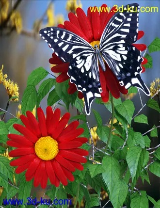 3D打印模型Wonders of Nature的图片