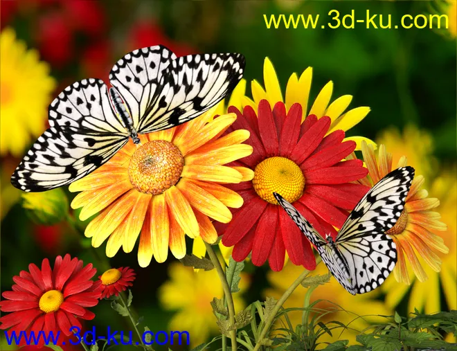 Wonders of Nature模型的图片6