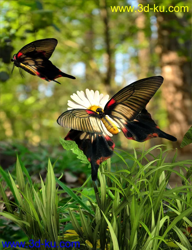 Wonders of Nature模型的图片7