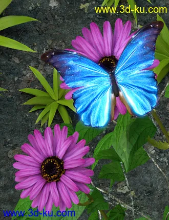3D打印模型Wonders of Nature的图片
