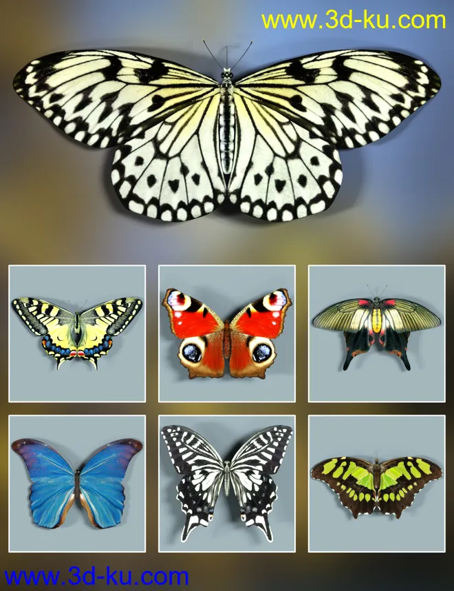 Wonders of Nature模型的图片12