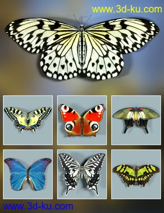 3D打印模型Wonders of Nature的图片