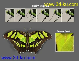 3D打印模型Wonders of Nature的图片