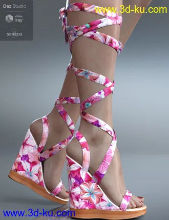 3D打印模型Wrap Wedges for Genesis 8 Female(s)的图片