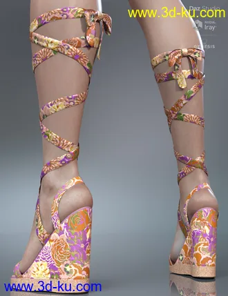 3D打印模型Wrap Wedges for Genesis 8 Female(s)的图片
