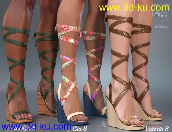 Wrap Wedges for Genesis 8 Female(s)模型的图片8