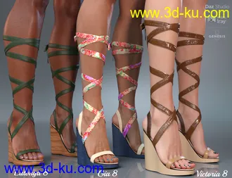 3D打印模型Wrap Wedges for Genesis 8 Female(s)的图片
