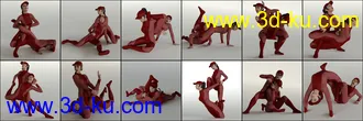 3D打印模型Wrestling Poses for Genesis 8的图片
