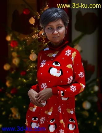 3D打印模型Xmas Knits Iray Shaders的图片