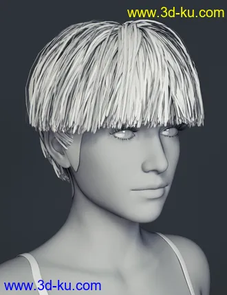 3D打印模型Ying Hair for Genesis 8 Female(s)的图片