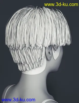 3D打印模型Ying Hair for Genesis 8 Female(s)的图片