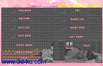 3D打印模型Z Natural Breasts - Shape and Pose Mega Set的图片