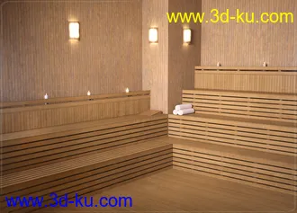 3D打印模型Z Sauna Room and Poses for Genesis 3 & 8的图片