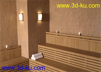 3D打印模型Z Sauna Room and Poses for Genesis 3 & 8的图片
