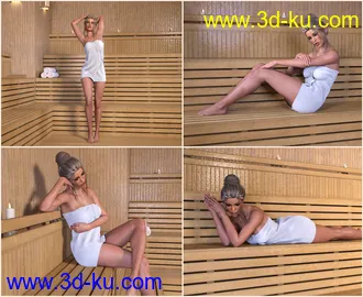 3D打印模型Z Sauna Room and Poses for Genesis 3 & 8的图片