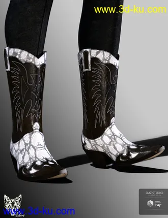 3D打印模型ZK Country Boots for Genesis 3 and 8 Female(s)的图片