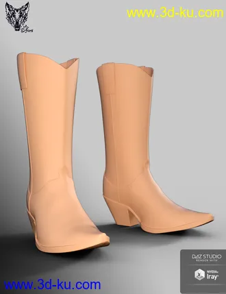 3D打印模型ZK Country Boots for Genesis 3 and 8 Female(s)的图片