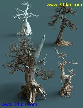 3D打印模型4 Dead Bonsai Trees的图片