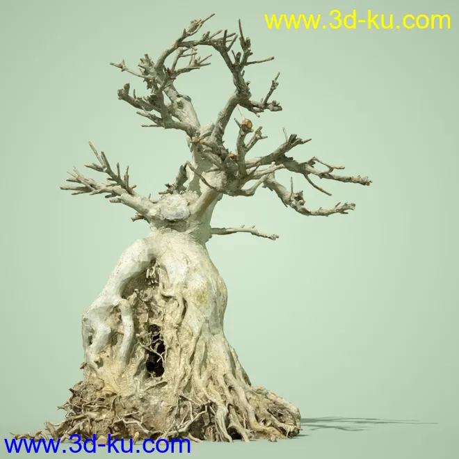 4 Dead Bonsai Trees模型的图片2