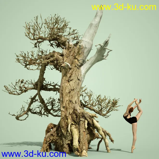 4 Dead Bonsai Trees模型的图片3