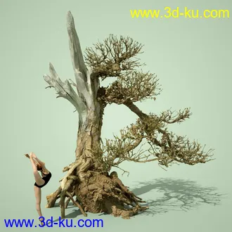 3D打印模型4 Dead Bonsai Trees的图片