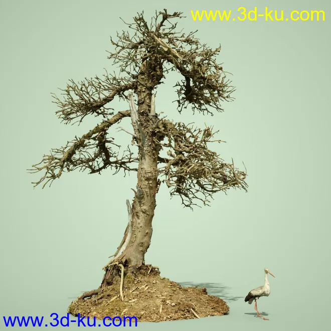 4 Dead Bonsai Trees模型的图片6