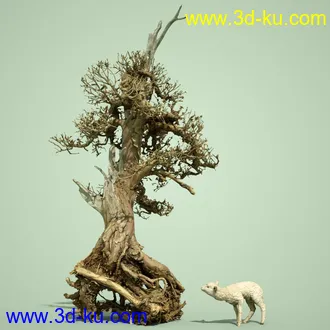 3D打印模型4 Dead Bonsai Trees的图片